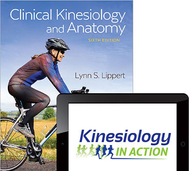 buy Lippert Clinical Kinesiology test bank 6e