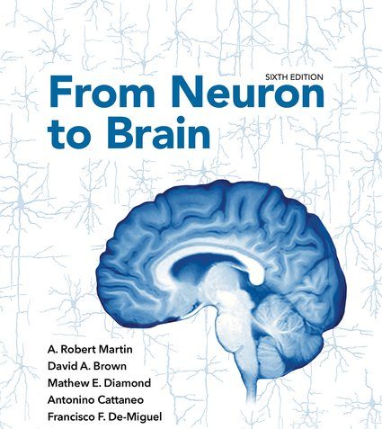 From Neuron to Brain Test Bank 6th Edition by A. Robert Martin