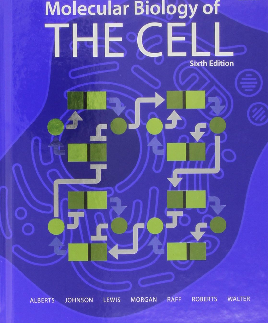 Molecular Biology of the Cell Test Bank 6th Edition by Bruce Alberts