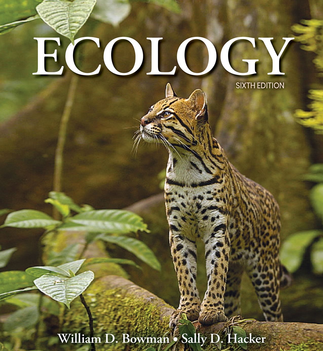 Ecology 6th Edition Test Bank by Bowman and Hacker PDF Download